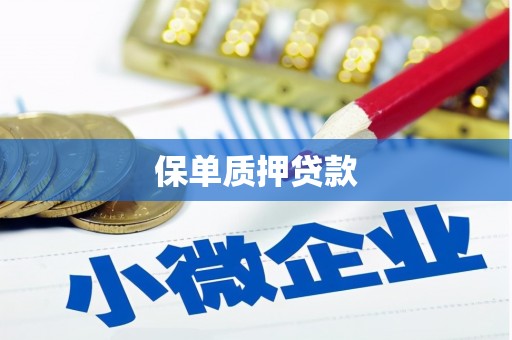 城厢保单质押贷款