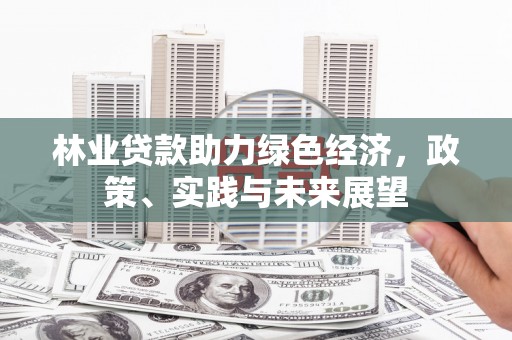 城厢林业贷款助力绿色经济，政策、实践与未来展望