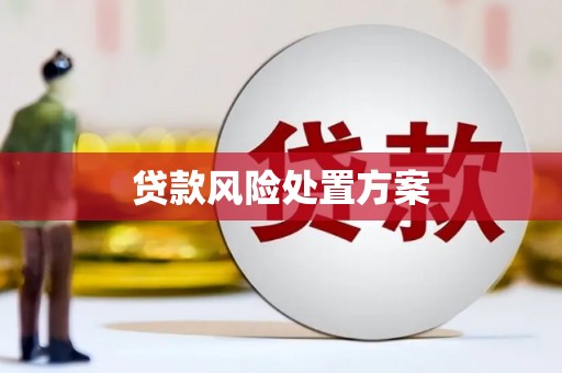 城厢贷款风险处置方案