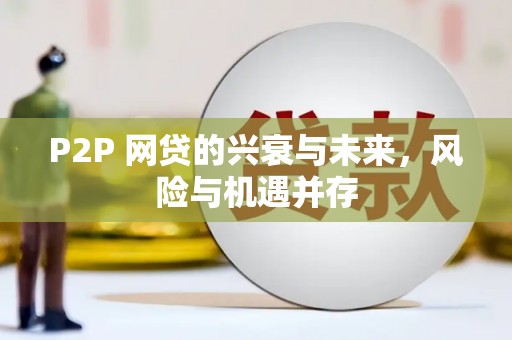城厢P2P 网贷的兴衰与未来，风险与机遇并存