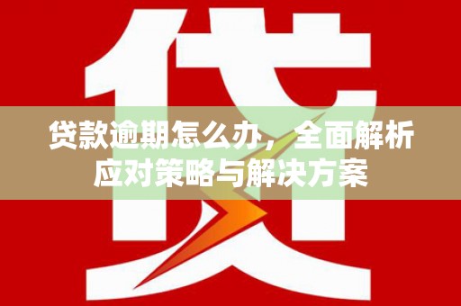 城厢贷款逾期怎么办，全面解析应对策略与解决方案
