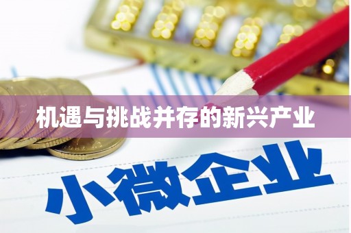 城厢机遇与挑战并存的新兴产业