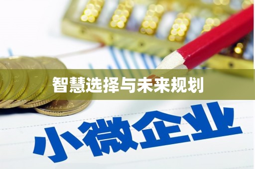 城厢智慧选择与未来规划