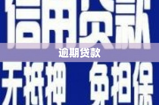 城厢逾期贷款