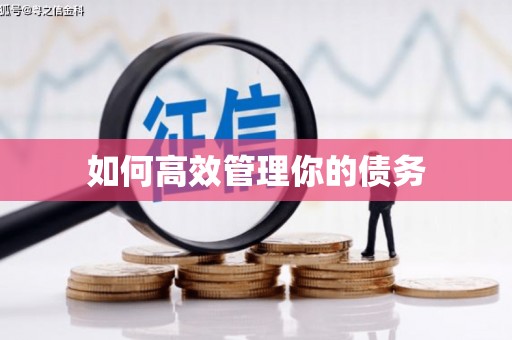 城厢如何高效管理你的债务