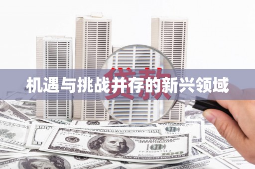 城厢机遇与挑战并存的新兴领域