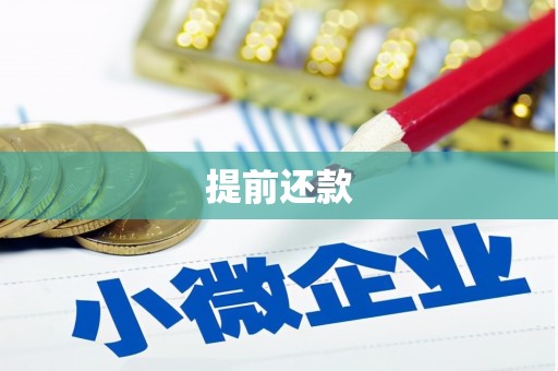 城厢提前还款