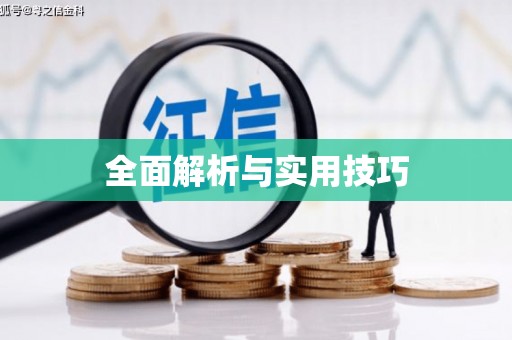 城厢全面解析与实用技巧