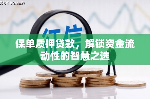 城厢保单质押贷款，解锁资金流动性的智慧之选